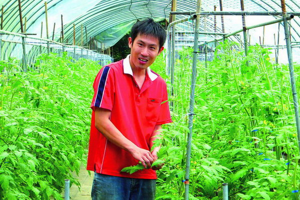 埔里青年林仕閔改行務農　採微生物種出美味蕃茄