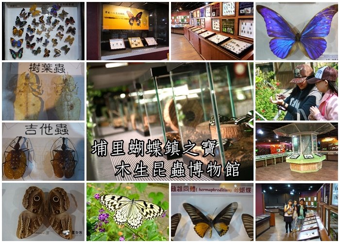 埔里木生昆蟲博物館